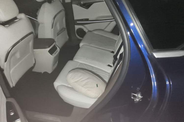 Used VOYAH FREE 2021 Four-Wheel Drive Standard Range-Extended Exclusive Luxury Package Interior 4
