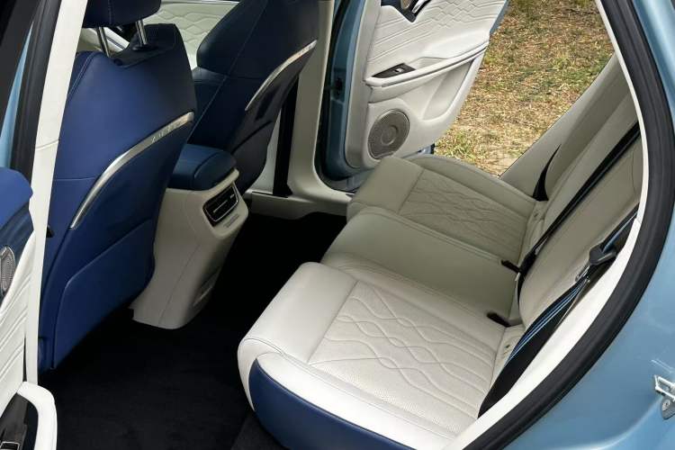 Used VOYAH FREE 2021 Four-Wheel Drive Standard Range-Extended Exclusive Luxury Package Interior 4