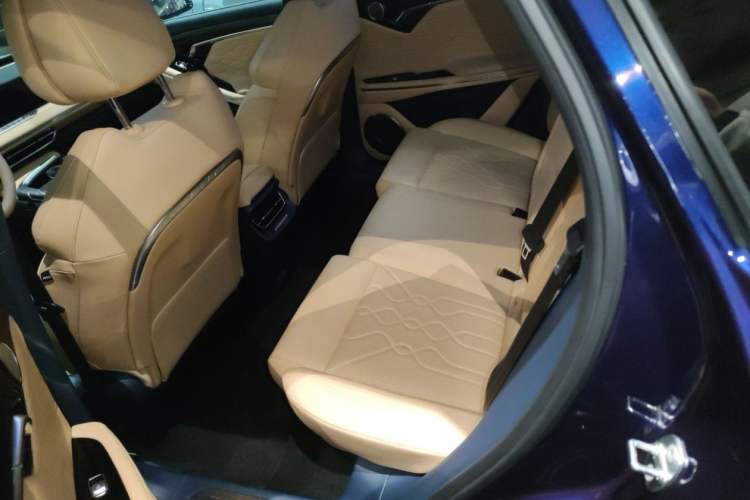 Used VOYAH FREE 2021 Four-Wheel Drive Standard Range-Extended Exclusive Luxury Package Interior 4
