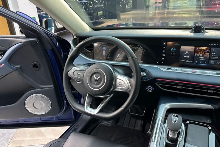 Used VOYAH FREE 2021 Four-Wheel Drive Standard Range-Extended Exclusive Luxury Package Interior 4