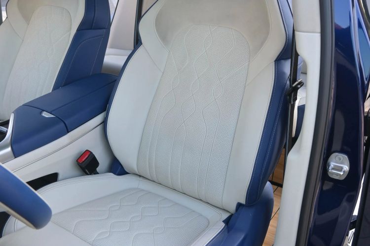 Used VOYAH FREE 2021 Four-Wheel Drive Standard Range-Extended Exclusive Luxury Package Interior 6