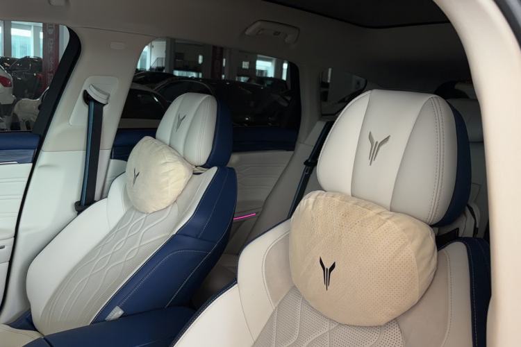 Used VOYAH FREE 2021 Two-Wheel Drive Standard Pure Electric City Edition Interior 6