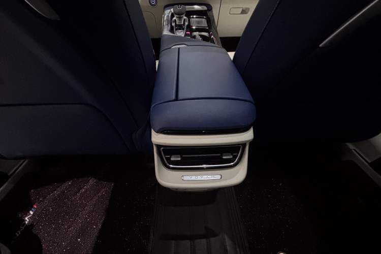 Used VOYAH FREE 2021 Four-Wheel Drive Standard Range-Extended Exclusive Luxury Package Interior 9