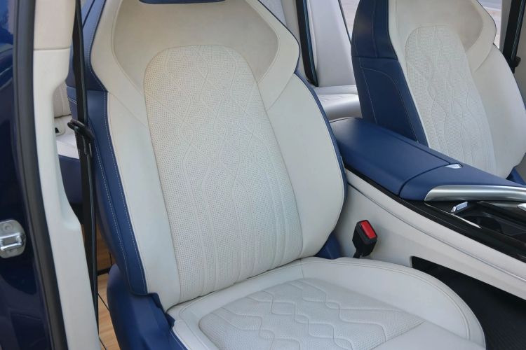 Used VOYAH FREE 2021 Four-Wheel Drive Standard Range-Extended Exclusive Luxury Package Interior 9