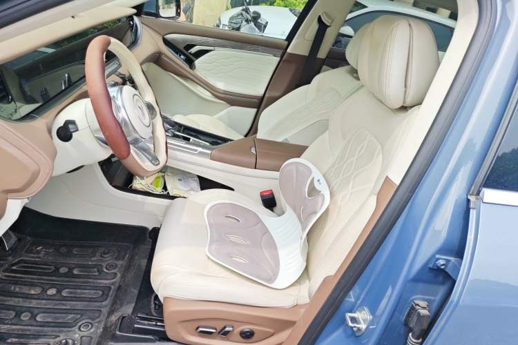 Used VOYAH FREE 2021 Four-Wheel Drive Standard All-Electric Exclusive Luxury Package Left Front Seat