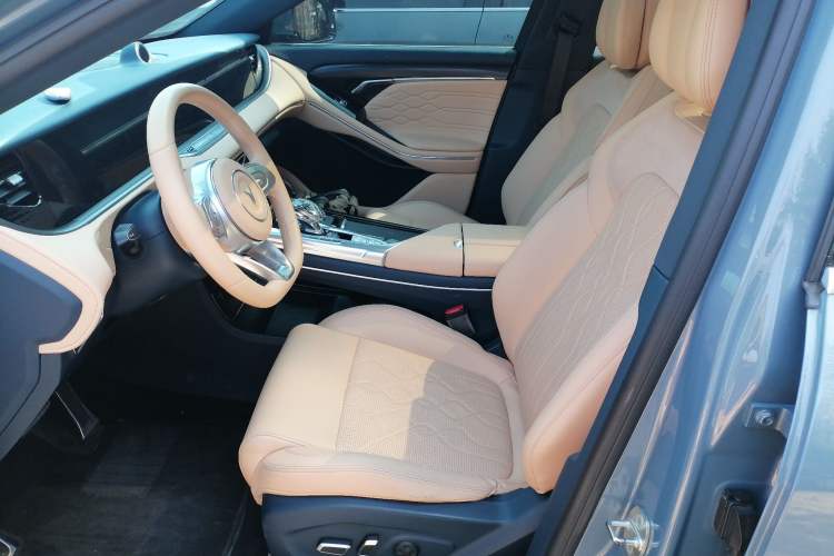 Used VOYAH FREE 2021 Four-Wheel Drive Standard All-Electric Exclusive Luxury Package Left Front Seat