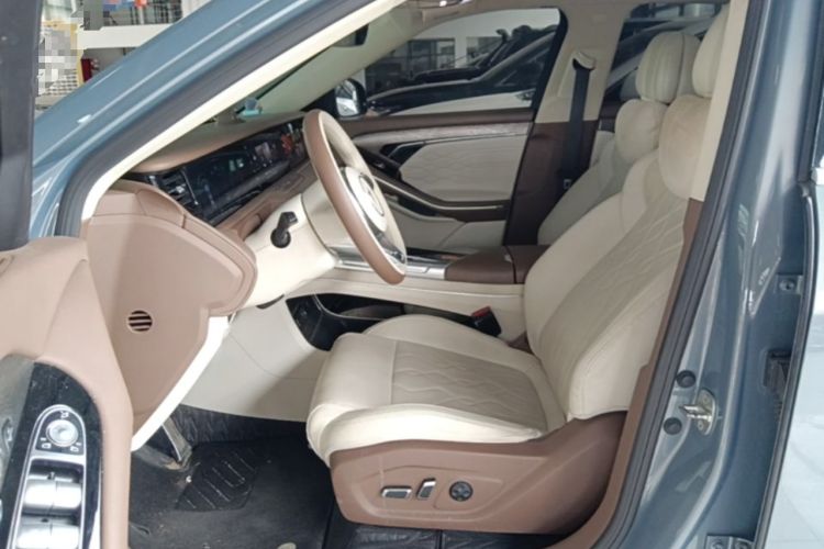 Used VOYAH FREE 2021 Four-Wheel Drive Standard Range-Extended Exclusive Luxury Package Left Front Seat