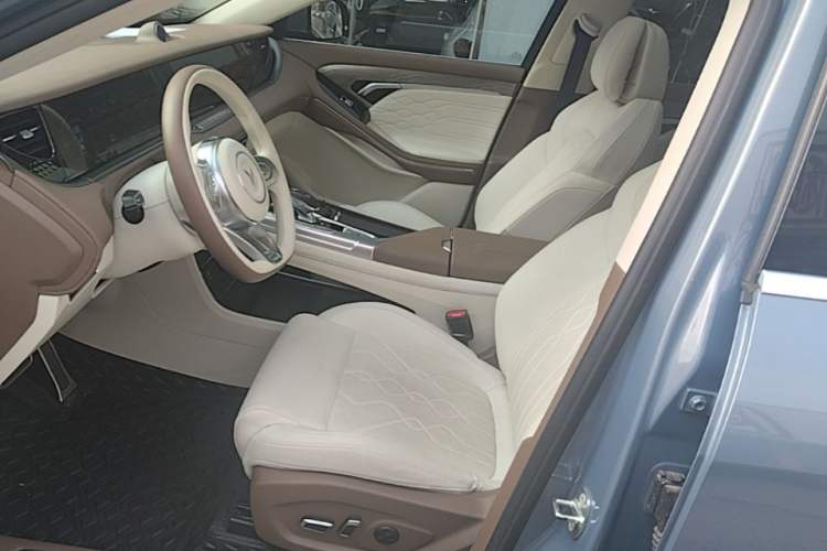 Used VOYAH FREE 2021 Four-Wheel Drive All-Electric First Edition Commemorative Edition Exclusive Luxury Package Left Front Seat