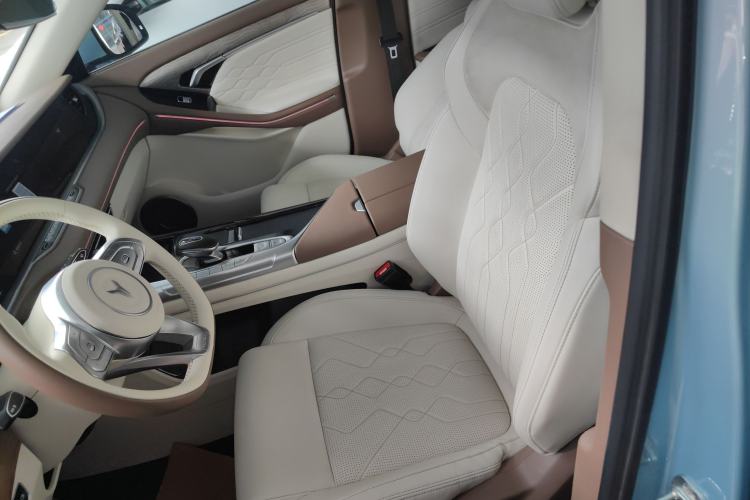 Used VOYAH FREE 2021 Four-Wheel Drive Standard All-Electric Exclusive Luxury Package Left Front Seat