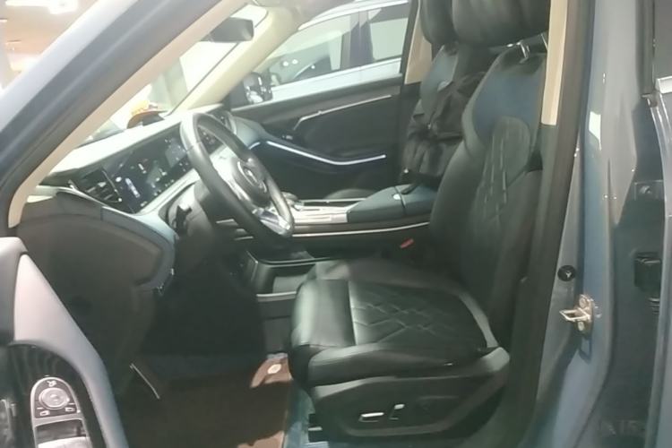 Used VOYAH FREE 2021 Four-Wheel Drive Standard All-Electric Exclusive Luxury Package Left Front Seat