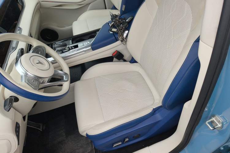 Used VOYAH FREE 2021 Four-Wheel Drive Standard All-Electric Exclusive Luxury Package Left Front Seat