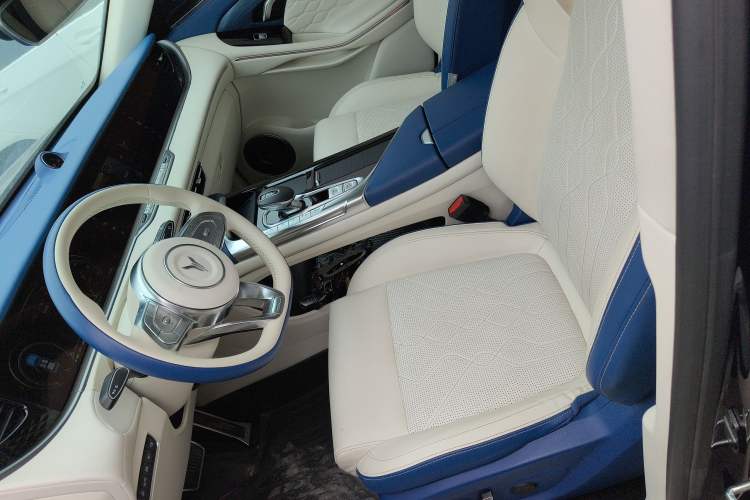 Used VOYAH FREE 2021 Four-Wheel Drive Standard All-Electric Exclusive Luxury Package Left Front Seat