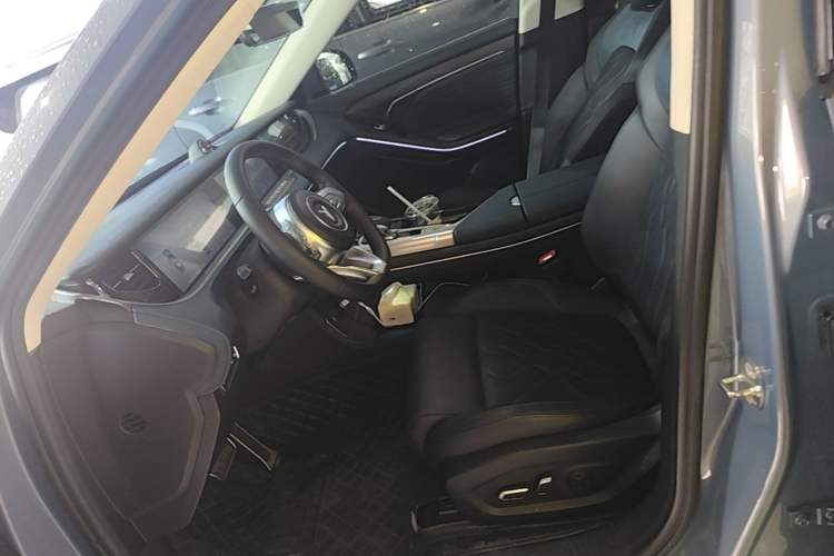 Used VOYAH FREE 2021 Two-Wheel Drive Standard Pure Electric City Edition Left Front Seat