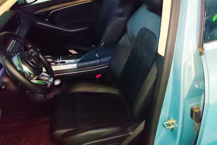 Used VOYAH FREE 2021 Four-Wheel Drive Standard Range-Extended Exclusive Luxury Package Left Front Seat