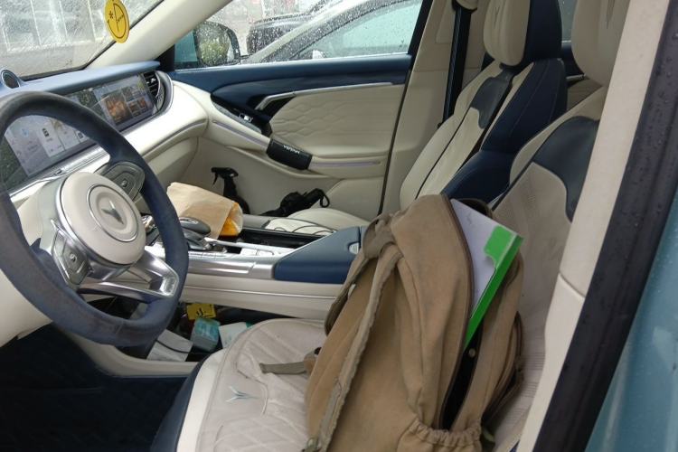 Used VOYAH FREE 2021 Four-Wheel Drive Standard Range-Extended Version Left Front Seat