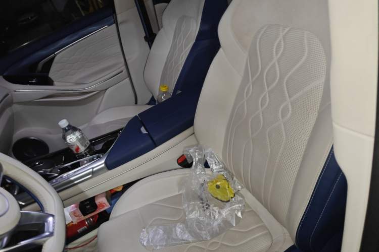 Used VOYAH FREE 2021 Four-Wheel Drive Extended-Range First Edition Commemorative Edition Exclusive Luxury Package Left Front Seat