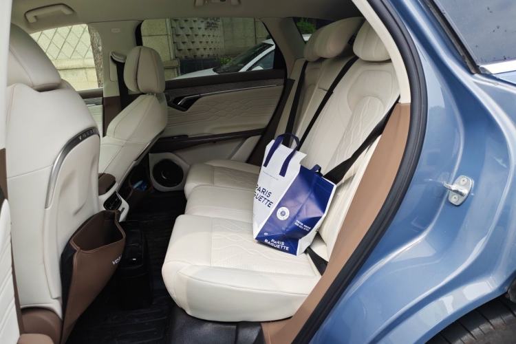 Used VOYAH FREE 2021 Four-Wheel Drive Standard All-Electric Exclusive Luxury Package Left Rear Seat