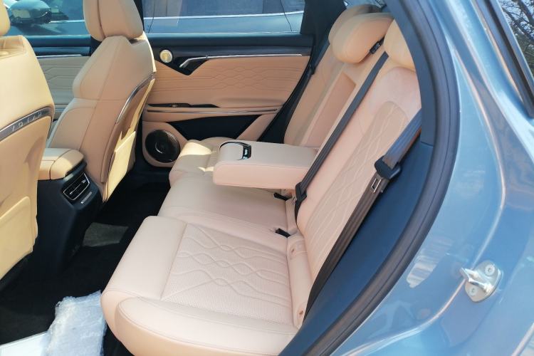 Used VOYAH FREE 2021 Four-Wheel Drive Standard All-Electric Exclusive Luxury Package Left Rear Seat