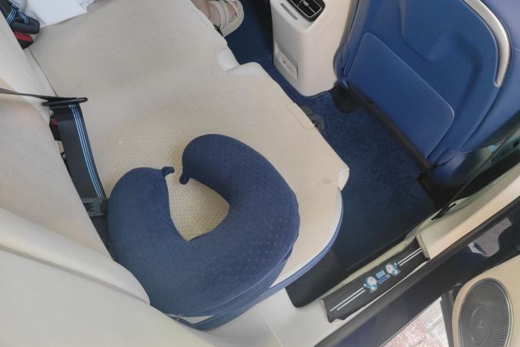Used VOYAH FREE 2021 Four-Wheel Drive Extended-Range First Edition Commemorative Edition Exclusive Luxury Package Left Rear Seat