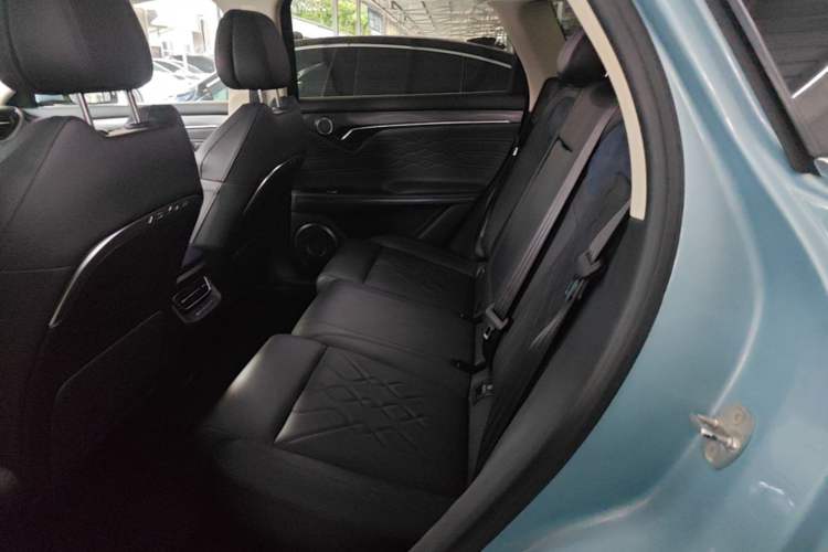 Used VOYAH FREE 2021 Two-Wheel Drive Standard Pure Electric City Edition Left Rear Seat