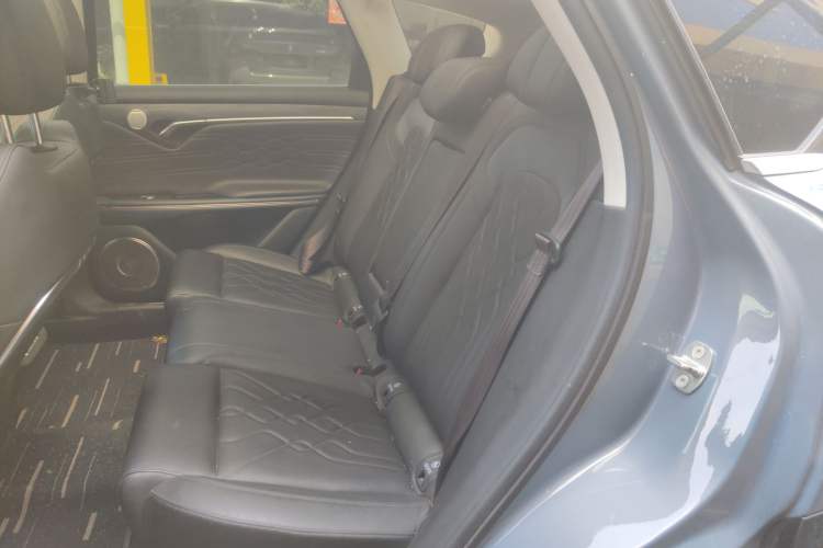 Used VOYAH FREE 2021 Four-Wheel Drive Standard Range-Extended Exclusive Luxury Package Left Rear Seat