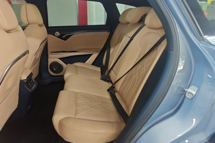 Used VOYAH FREE 2021 Four-Wheel Drive Standard Range-Extended Exclusive Luxury Package Left Rear Seat
