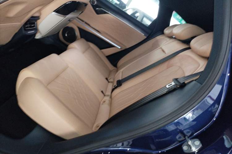 Used VOYAH FREE 2021 Two-Wheel Drive Standard Pure Electric City Edition Left Rear Seat