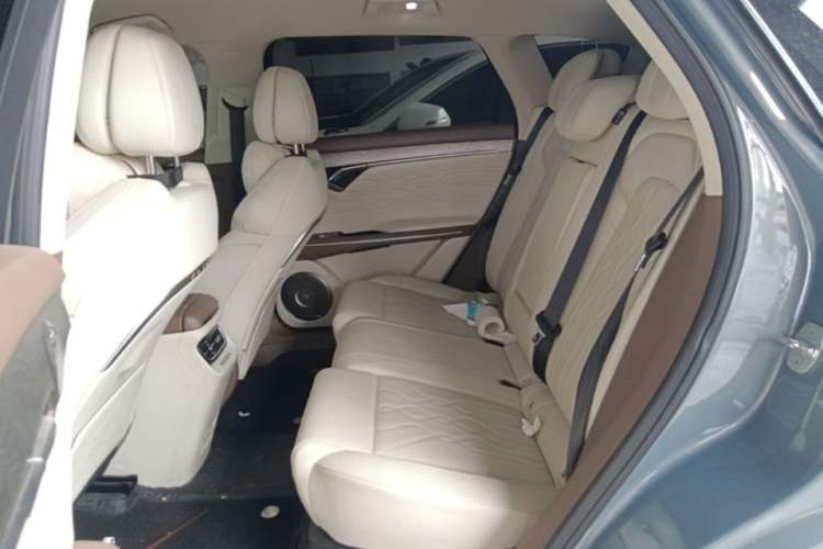Used VOYAH FREE 2021 Four-Wheel Drive Standard Range-Extended Exclusive Luxury Package Left Rear Seat