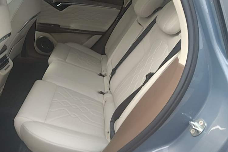 Used VOYAH FREE 2021 Four-Wheel Drive All-Electric First Edition Commemorative Edition Exclusive Luxury Package Left Rear Seat