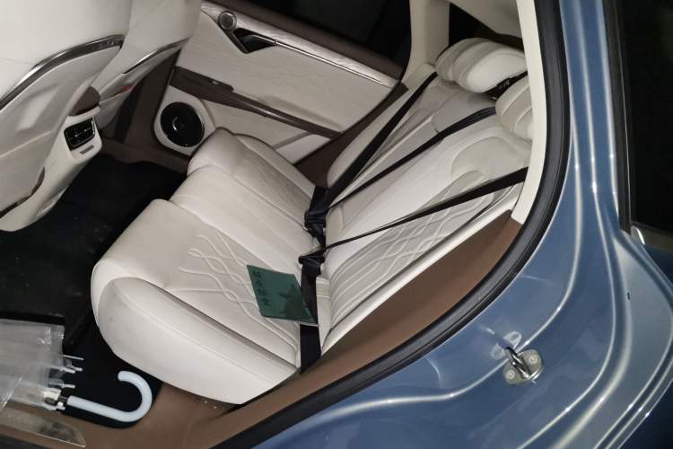 Used VOYAH FREE 2021 Four-Wheel Drive Standard Range-Extended Exclusive Luxury Package Left Rear Seat