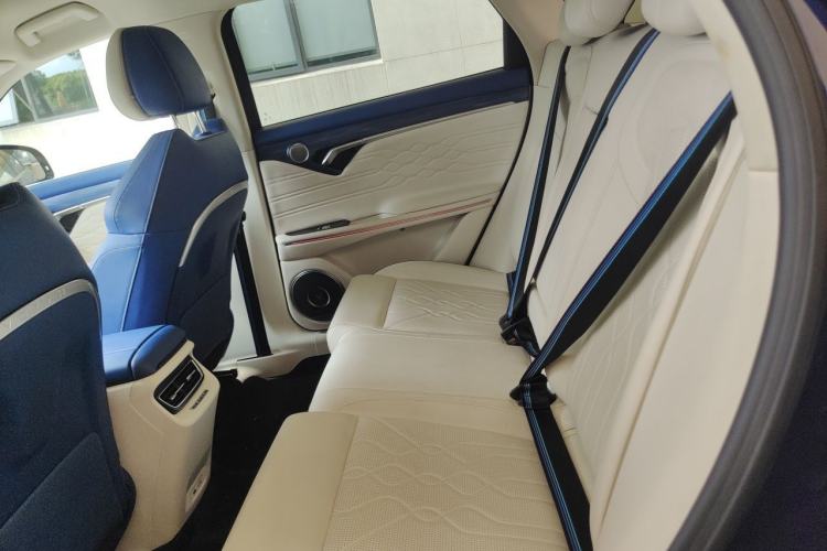 Used VOYAH FREE 2021 Four-Wheel Drive Standard All-Electric Exclusive Luxury Package Left Rear Seat