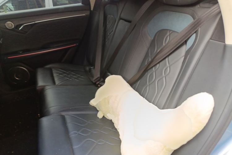 Used VOYAH FREE 2021 Four-Wheel Drive Standard Range-Extended Exclusive Luxury Package Left Rear Seat
