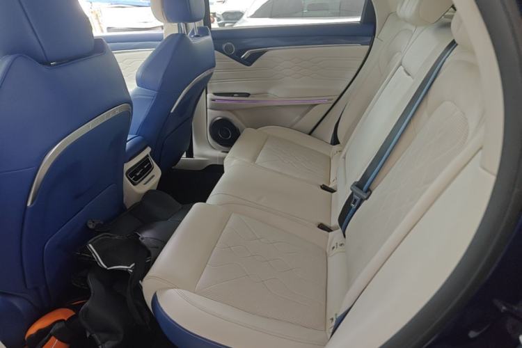 Used VOYAH FREE 2021 Four-Wheel Drive Standard Range-Extended Exclusive Luxury Package Left Rear Seat