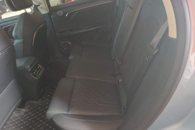 Used VOYAH FREE 2021 Four-Wheel Drive Standard All-Electric Exclusive Luxury Package Left Rear Seat
