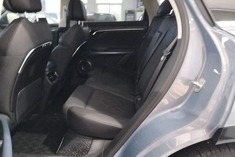 Used VOYAH FREE 2021 Four-Wheel Drive Standard Range-Extended Exclusive Luxury Package Left Rear Seat