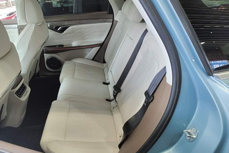 Used VOYAH FREE 2021 Four-Wheel Drive Standard Range-Extended Version Left Rear Seat