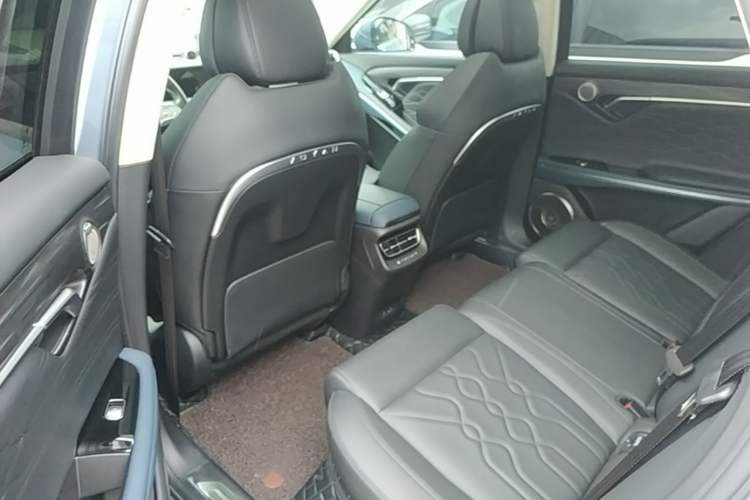 Used VOYAH FREE 2021 Four-Wheel Drive All-Electric First Edition Commemorative Edition Exclusive Luxury Package Left Rear Seat