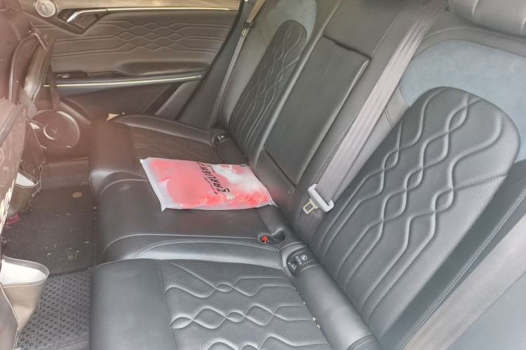 Used VOYAH FREE 2021 Four-Wheel Drive Standard Range-Extended Exclusive Luxury Package Left Rear Seat