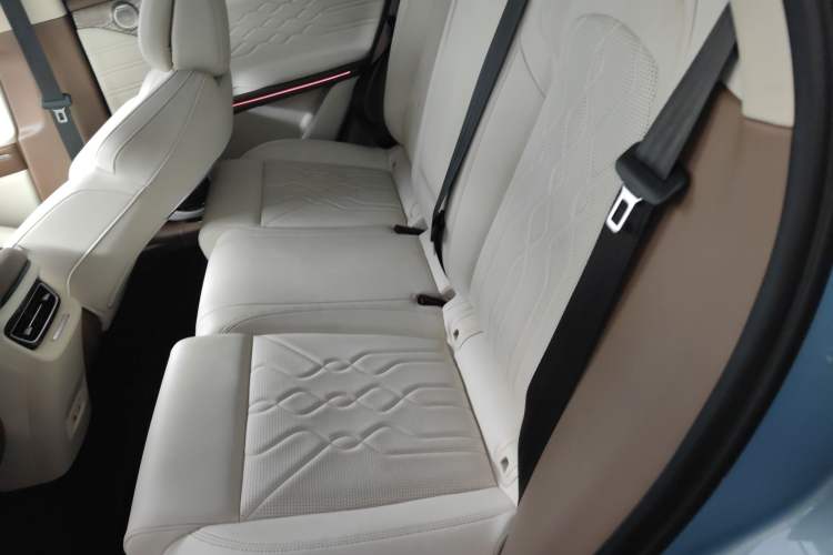 Used VOYAH FREE 2021 Four-Wheel Drive Standard All-Electric Exclusive Luxury Package Left Rear Seat
