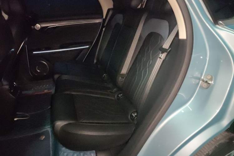 Used VOYAH FREE 2021 Two-Wheel Drive Standard Pure Electric City Edition Left Rear Seat