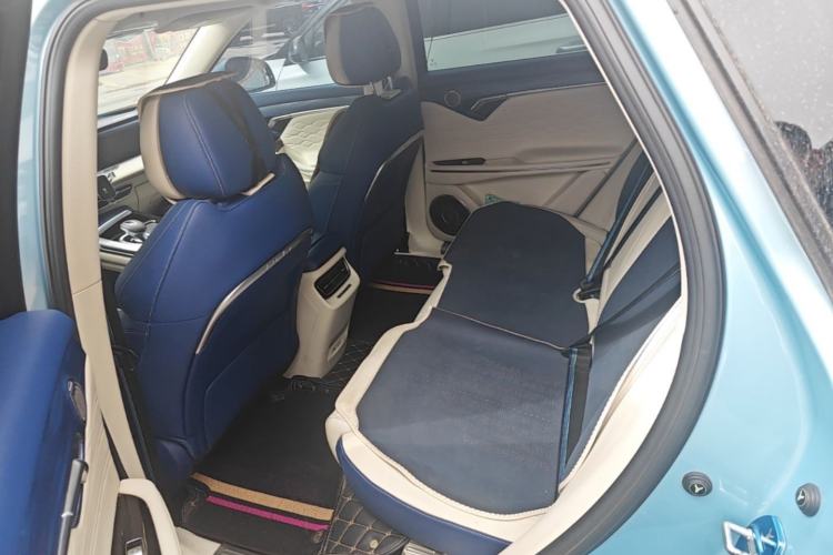 Used VOYAH FREE 2021 Four-Wheel Drive Extended-Range First-Edition Commemorative Model Left Rear Seat