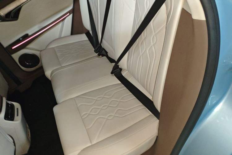 Used VOYAH FREE 2021 Four-Wheel Drive Standard Range-Extended Exclusive Luxury Package Left Rear Seat