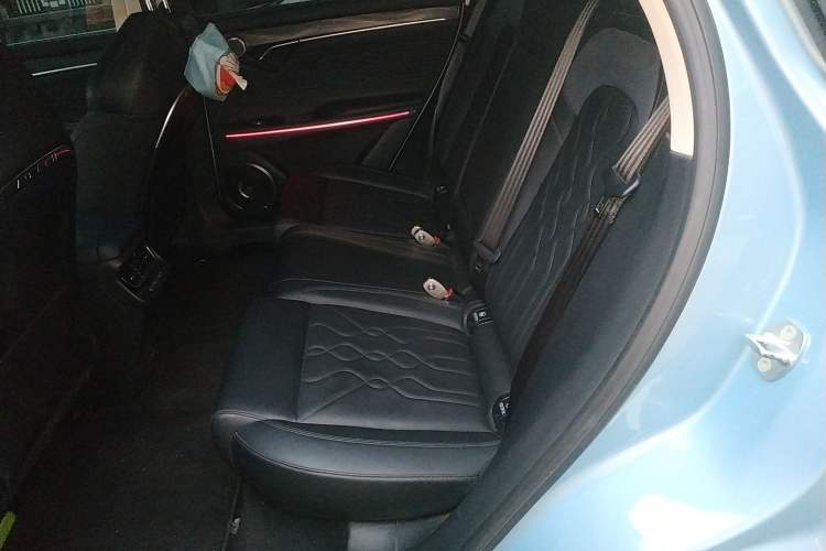 Used VOYAH FREE 2021 Four-Wheel Drive Standard Range-Extended Exclusive Luxury Package Left Rear Seat