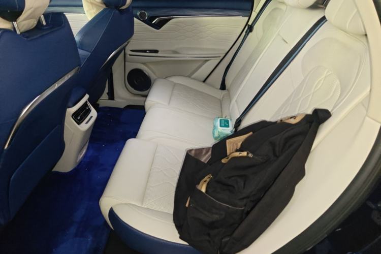 Used VOYAH FREE 2021 Four-Wheel Drive All-Electric First Edition Commemorative Edition Exclusive Luxury Package Left Rear Seat