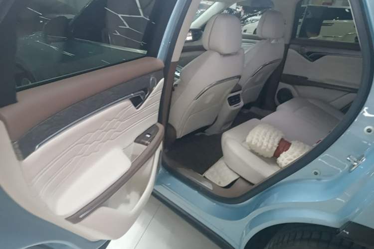 Used VOYAH FREE 2021 Four-Wheel Drive Standard Range-Extended Exclusive Luxury Package Left Rear Seat