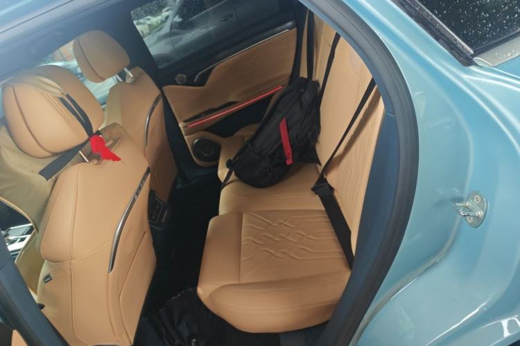 Used VOYAH FREE 2021 Four-Wheel Drive Extended-Range First Edition Commemorative Edition Exclusive Luxury Package Left Rear Seat