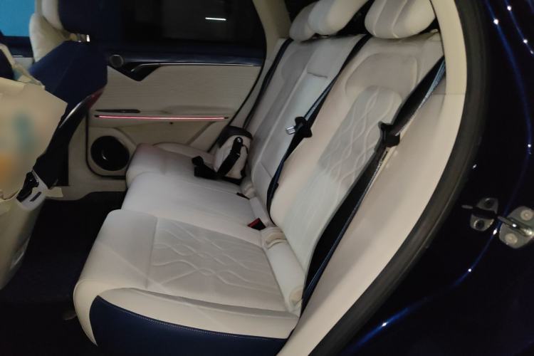Used VOYAH FREE 2021 Four-Wheel Drive Standard Range-Extended Version Left Rear Seat