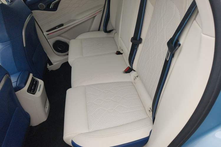 Used VOYAH FREE 2021 Four-Wheel Drive Standard All-Electric Exclusive Luxury Package Left Rear Seat