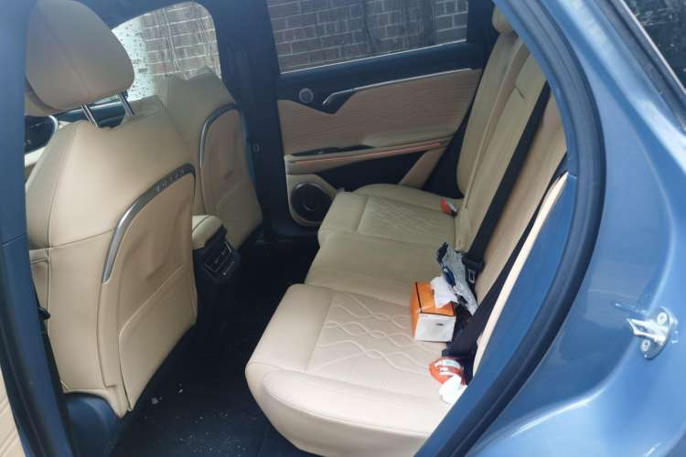 Used VOYAH FREE 2021 Four-Wheel Drive Standard Range-Extended Exclusive Luxury Package Left Rear Seat