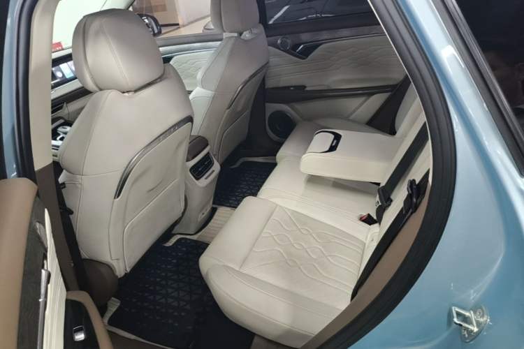 Used VOYAH FREE 2021 Two-Wheel Drive Standard Pure Electric City Edition Left Rear Seat